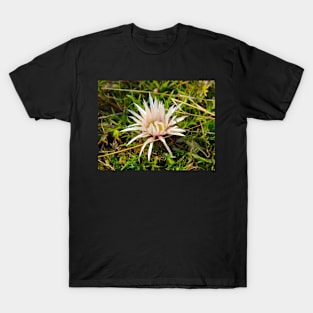 Mountain flower T-Shirt